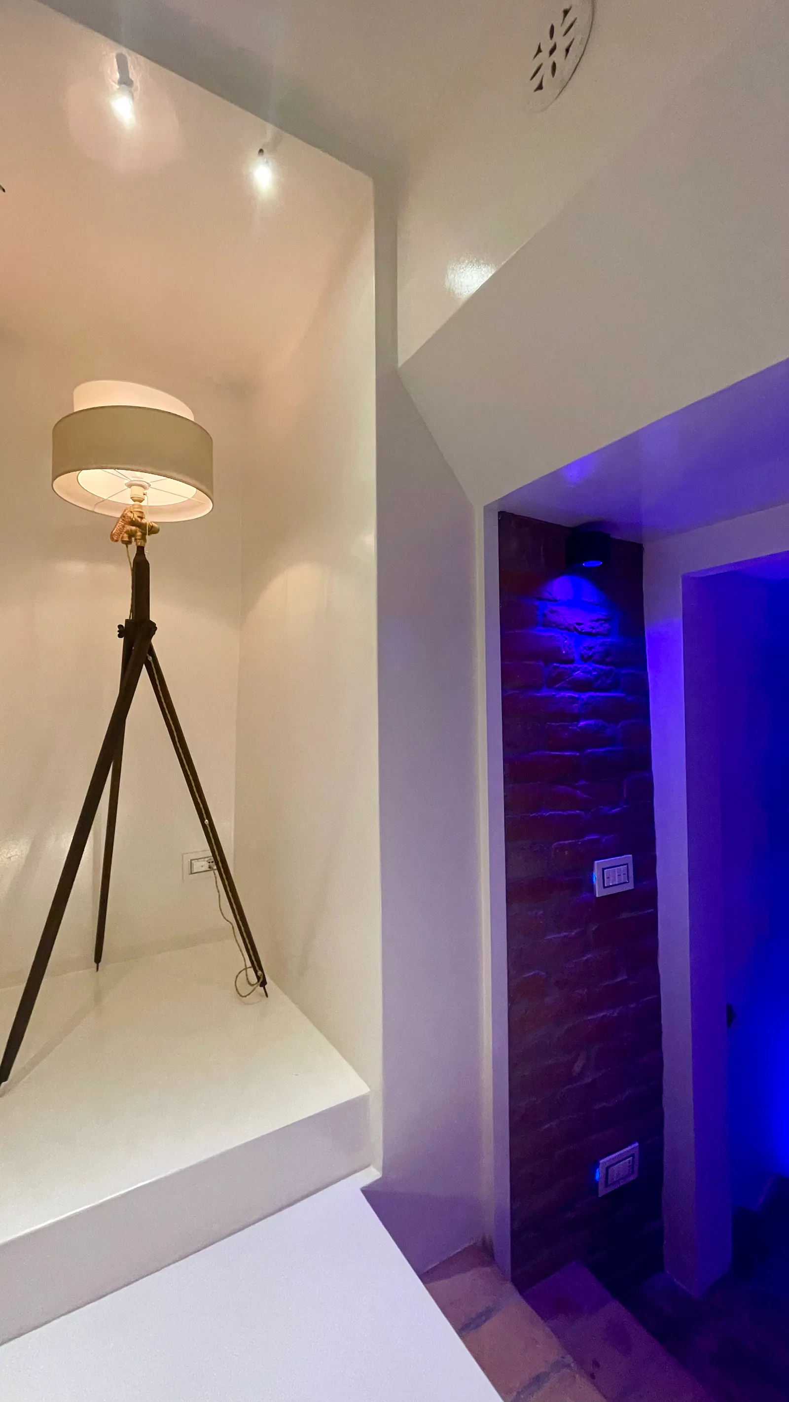 Villa Made, foto 14